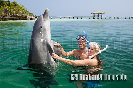Happy couple playing with dolphin in caribbean sea
