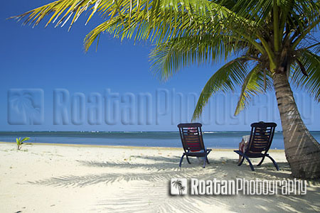 Relaxing under palm tree on remote white sand beach stock photo